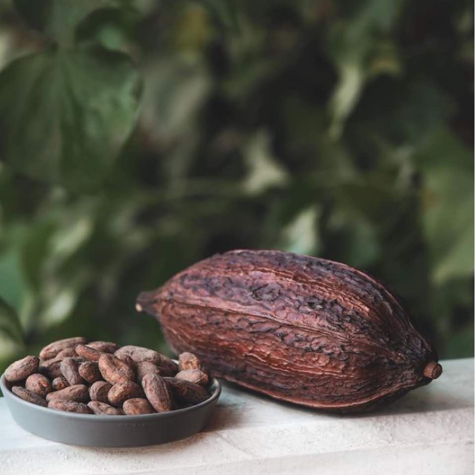 Kakaobönor som dessert, ett nyttigt snacks eller egen choklad